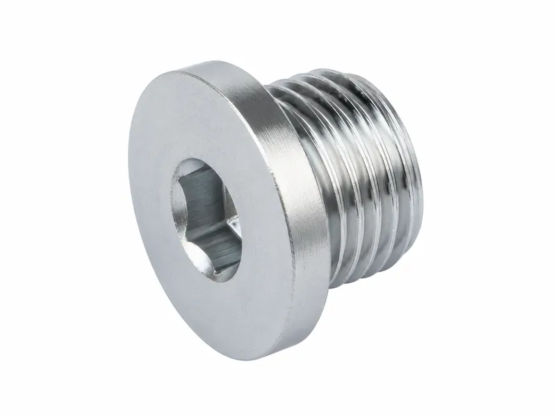 BSP threaded plug with internal hex drive and flat flange